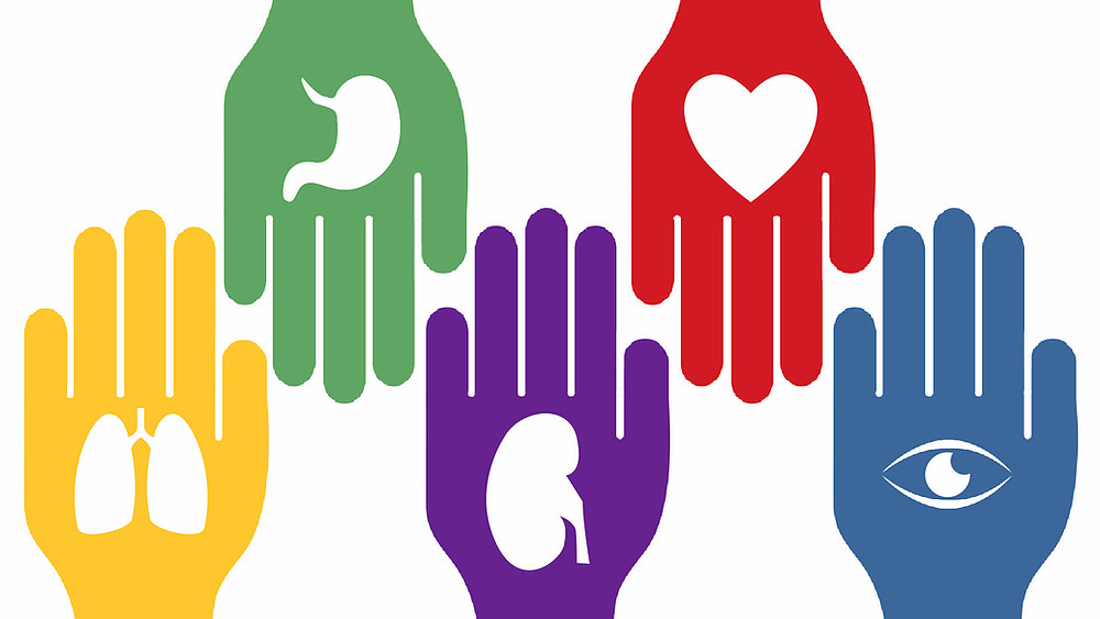 Procuración Intrahospitalaria en Donación de Órganos y Tejidos - COH1