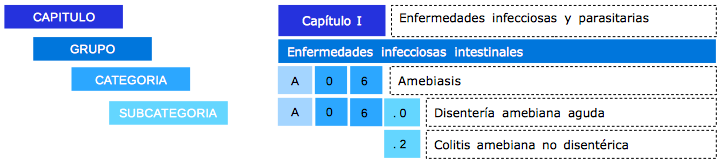 Formación de codificadores CIE-10 - 2025
